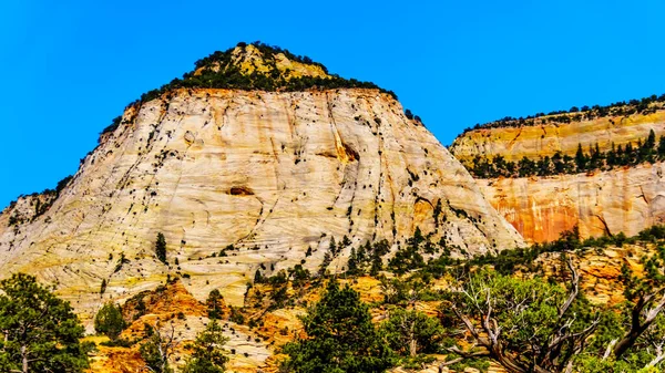 Utah Abd Deki Zion Ulusal Parkı Nın Doğu Yakasındaki Zion — Stok fotoğraf