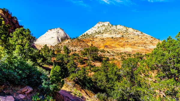 Die Weißen Gipfel Der Sandsteinberge Und Mesas Entlang Des Zion — Stockfoto