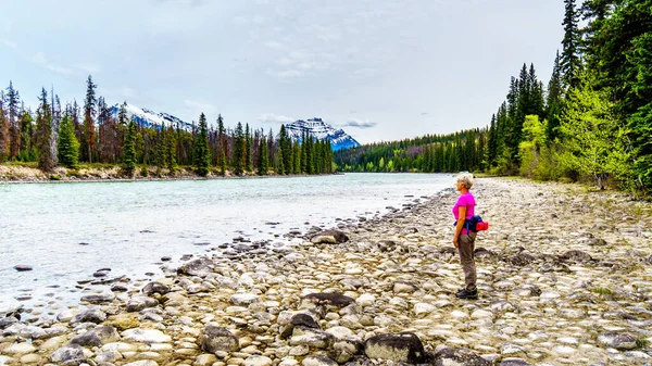 Senior Woman Hiker Shore Athabasca River Meeting Rivers Whirlpool River — Stock fotografie