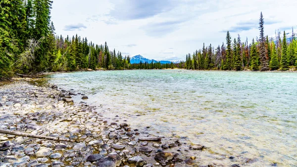 Fiume Athabasca All Incontro Dei Fiumi Con Fiume Whirlpool Nel — Foto Stock