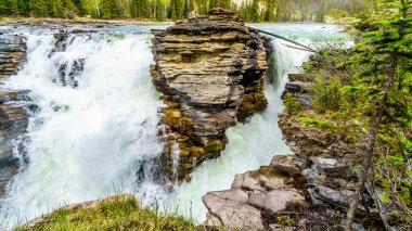 Athabasca Şelalesi 'nde Athabasca Nehri' nin suyu sert kuvarsit tabakasını aşağıdaki yumuşak kireç taşının üzerine döküyor ve Jasper Ulusal Parkı, Alberta, Kanada 'da oyulmuş kaya parçaları ve bir kanyon bulunuyor.
