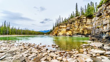 Athabasca Nehri 'nin sessiz turkuaz suyu Jasper Ulusal Parkı, Alberta, Kanada' daki Athabasca Şelalesi 'nden hemen sonra.