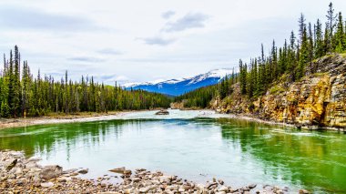 Athabasca Nehri 'nin sessiz turkuaz suyu Jasper Ulusal Parkı, Alberta, Kanada' daki Athabasca Şelalesi 'nden hemen sonra.