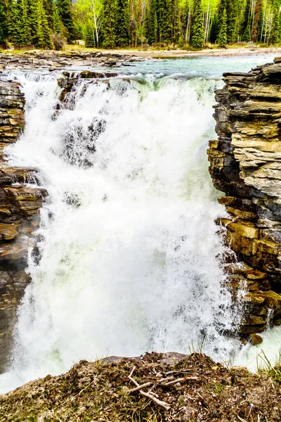 Athabasca Falls Water Athabasca River Pours Hard Quartzite Layer Softer — Stock Photo, Image