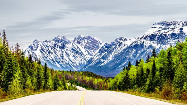 Icefields Parkway Serpenteando Través Cordillera Rocosa Entre Ciudad Jasper Los — Foto de Stock