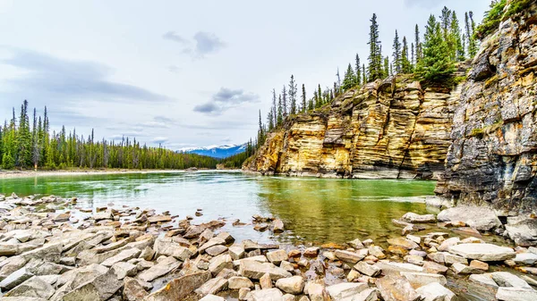 The quiet turquoise water of the Athabasca river right after the Athabasca Falls in Jasper National Park, Alberta, Canada — Stock Image Quiet Turquoise Water Athabasca River Right Athabasca Falls Jasper National Stock Photo