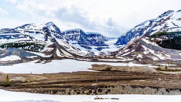 Beroemde Koepelgletsjer Omliggende Bergen Van Columbia Ijsvelden Jasper National Park — Stockfoto