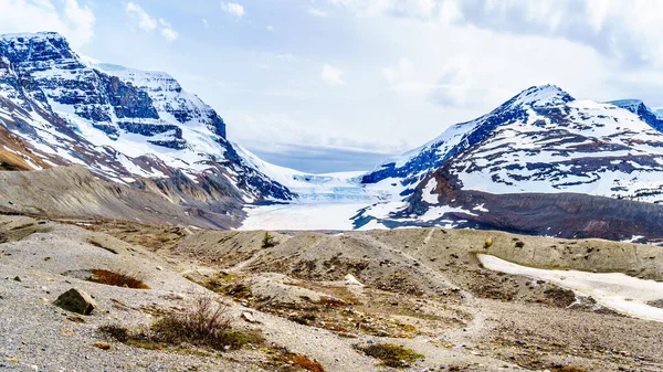 Glacier Athabasca Dans Les Champs Glace Columbia Dans Parc National — Photo