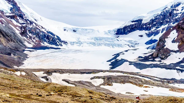 Glacier Athabasca Dans Les Champs Glace Columbia Dans Parc National — Photo