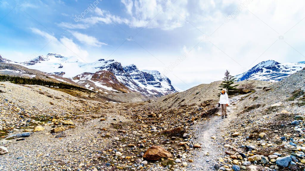 Senior woman hiking a Lateral Moraine of the Athabasca Glacier in the Columbia Icefields in Jasper National Park