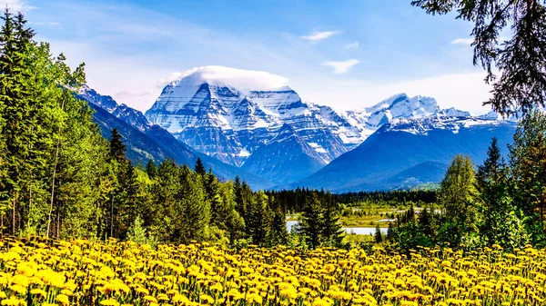 Cloud Blanket Mount Robson Highest Mountain Canadian Rockies Mount Robson — Stock Photo, Image