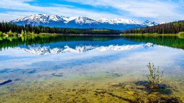 Patricia Lake, Kanada Jasper Ulusal Parkı 'ndaki Rocky Dağları' nın karlı tepelerini yansıtıyor.
