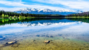 Patricia Lake, Kanada Jasper Ulusal Parkı 'ndaki Rocky Dağları' nın karlı tepelerini yansıtıyor.