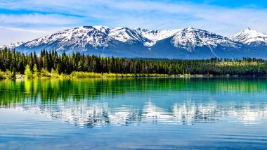 Patricia Lake, Kanada Jasper Ulusal Parkı 'ndaki Rocky Dağları' nın karlı tepelerini yansıtıyor.