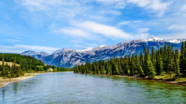 Rzeka Athabasca Widziana Mostu Maligne Lake Road Parku Narodowym Jasper — Zdjęcie stockowe