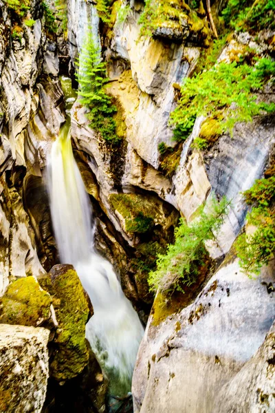 Καταρράκτης Στην Πρώτη Γέφυρα Πάνω Από Maligne Canyon Στο Jasper — Φωτογραφία Αρχείου