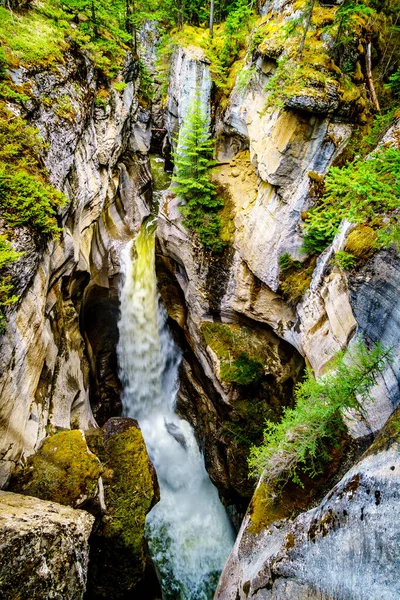 Καταρράκτης Στην Πρώτη Γέφυρα Πάνω Από Maligne Canyon Στο Jasper — Φωτογραφία Αρχείου