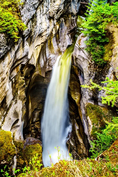 Waterfall First Bridge Maligne Canyon Jasper National Park Alberta Canada — Stock Photo, Image