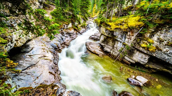 Turbulent Waters Maligne Canyon Flowing Deep Maligne Canyon Jasper National — Stock Photo, Image