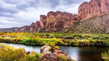 Salt Nehri ve etrafındaki dağların orta Arizona, Amerika Birleşik Devletleri 'nde sonbahar renkli çöl çalıları var.