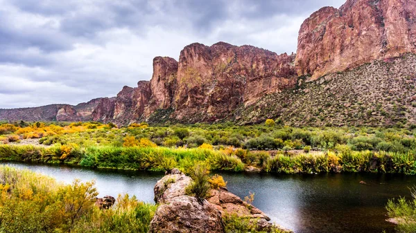 Salt Nehri ve etrafındaki dağların orta Arizona, Amerika Birleşik Devletleri 'nde sonbahar renkli çöl çalıları var.