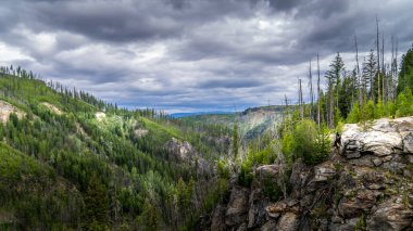 Kelowna, British Columbia, Kanada yakınlarındaki Myra Kanyonu 'ndaki terkedilmiş Kettle Vadisi Demiryolu' ndan Myra Kanyonu manzarası