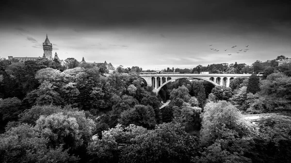 ポンアドルフ アドルフ橋 とヴァル プルーセ ペトラス公園 の白黒写真 ルクセンブルクのムーズ バンケ塔 — ストック写真