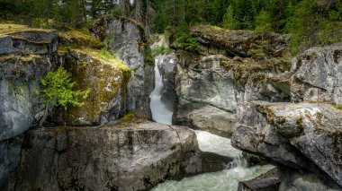 Kanada, British Columbia 'da Whistler ve Pemberton kasabaları arasındaki Lillooet Nehri' ndeki Nairn Şelalesi.