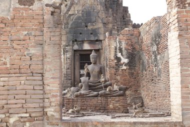 Maymun aile oturma tarihi seyahat hedef Asya, ev dekorasyon duvar kağıdı üzerinde eski bozuk Buda heykeli, samimi hayvan yaban hayatı, grup memeli oyun