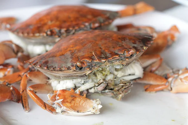 boiled stone Crab body builder. Cheliped of the crab, prepared raw shell animal at homemade gourmet restaurant, food stylist menu backgrounds