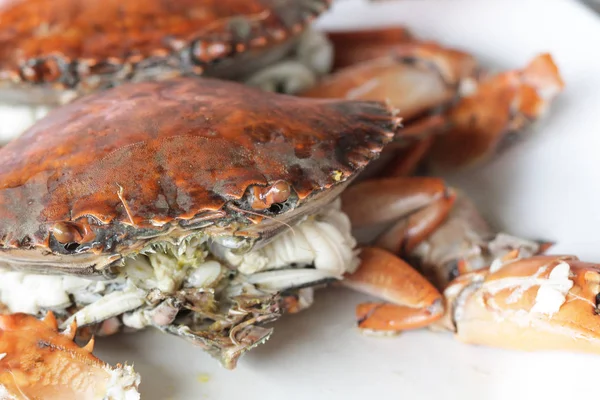 Kaynamış taş yengeç vücut geliştiricisi. Yengeci kestin, ev yapımı gurme restoranda çiğ kabuklu hayvan pişirdin, yemek stilisti menü geçmişin var.