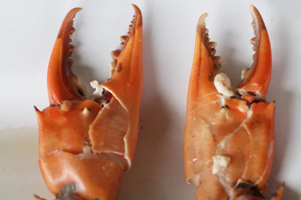 茹で石蟹ボディ ビルダーの壊れた部分は カニの鉗脚準備自家製グルメ レストラン フード スタイリスト メニューの背景で生シェル動物 — ストック写真