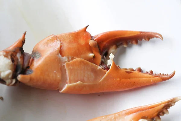 茹で石蟹ボディ ビルダーの壊れた部分は カニの鉗脚準備自家製グルメ レストラン フード スタイリスト メニューの背景で生シェル動物 — ストック写真