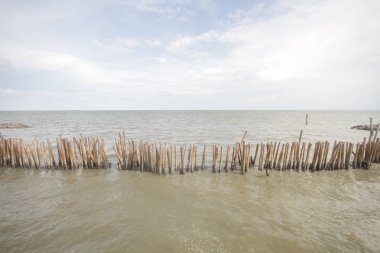 Mangrov orman ve bulutlu gökyüzü, okyanus deniz tatil sırasında yüzey seviye, doğa kıyı şeridi arka planları içinde sürekli Koruyucu bariyer el yapımı ağaç bambu sopayla