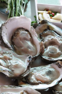 bir şekilde dekore edilmiş çiğ istiridyelerin taze Pasifik büyük grup / kapama jöle hayvan deniz ürünleri Restoran, pişmemiş yiyecek unpearl istiridye, lezzetli yemek tarifi menü taze sebze ve limon garnitür ile