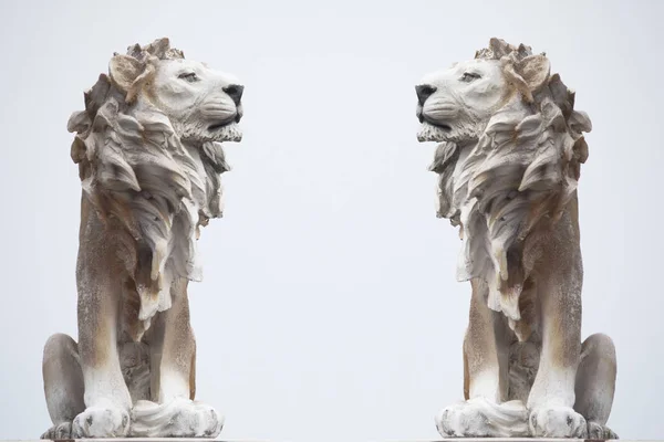 Doppel Zwilling Antike Skulptur Von Weißen Sitzenden Coade Steinlöwe Isoliert — Stockfoto