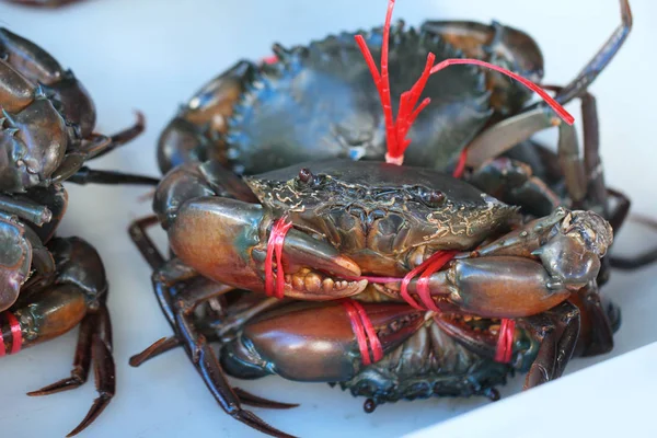 Gruppe Eingefangener Lebender Süßwasserkrabben Gebändertes Schalentier Meer Frischmarkt Meeresfrüchte Restaurant — Stockfoto