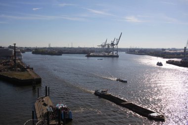 closeup seçici yeşil kaktüs, ev dekorasyon arka planlar reklam duvar kağıdı, Sevgililer sevgilisi yaz sezonu huzurlu