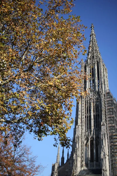 Evangélikus Minster Baden Wrttemberg Székesegyház Ulm Óvárosában Található Németország Részletesen — Stock Fotó