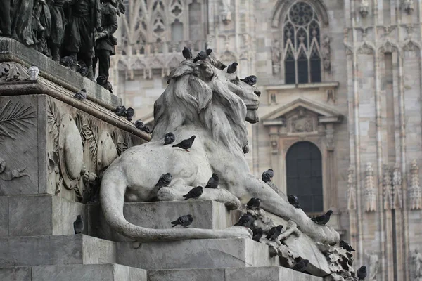 Grupo Pombos Cabeça Leão Estátua Piazza Duomo Milano Itália Sujo — Fotografia de Stock