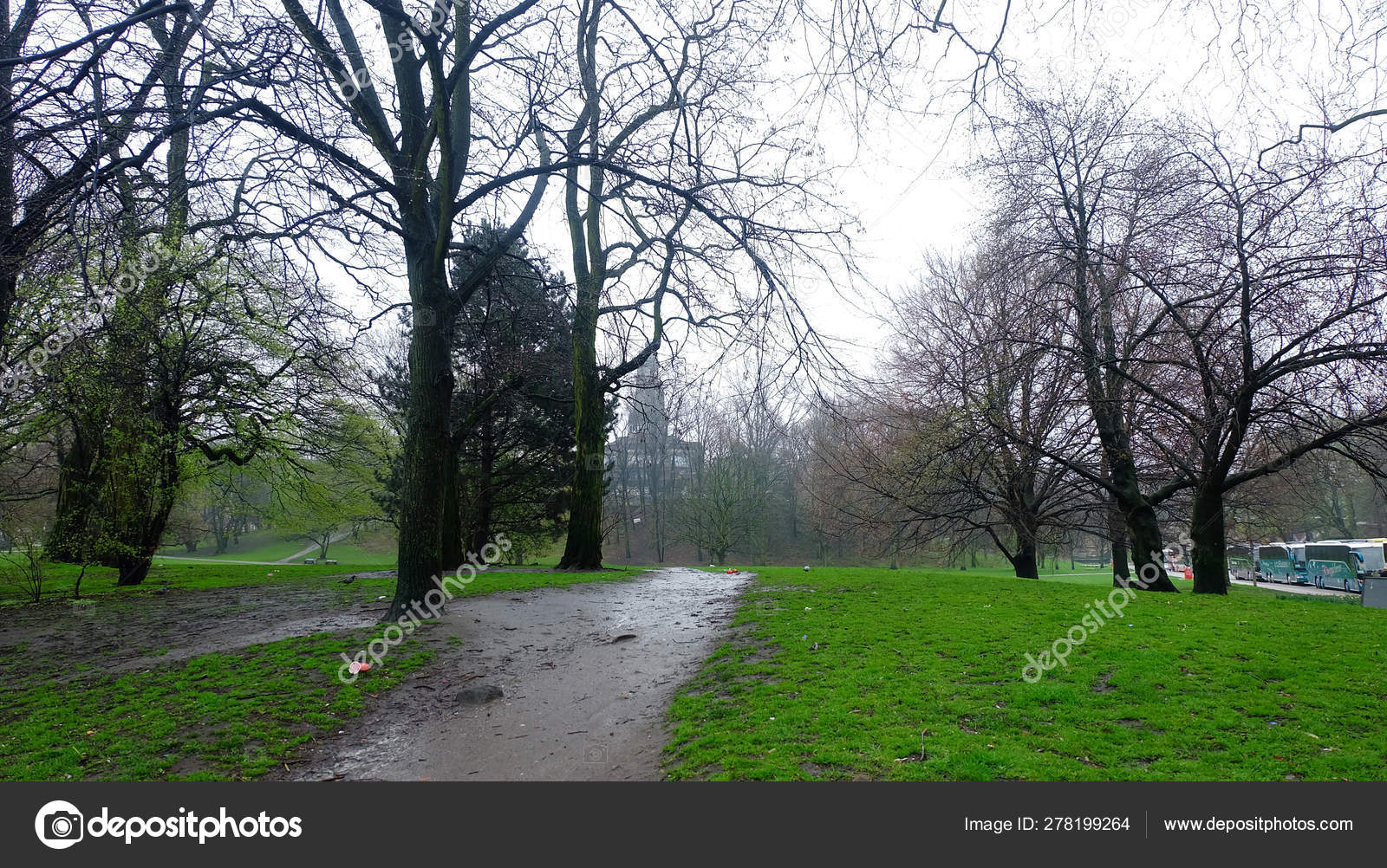 Rain In Forest Wallpaper