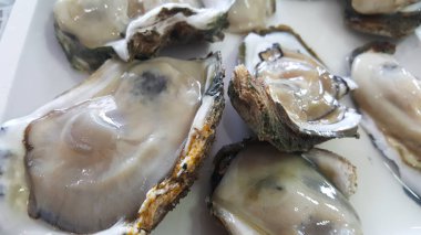 Ham Taze grup beyaz tabakta hizmet veren bir Shell dev açık istiridye yakın, taze pazarda balıkçılık tekne tazelik deniz ürünleri, gıda arka planlar