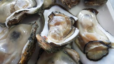 Ham Taze grup beyaz tabakta hizmet veren bir Shell dev açık istiridye yakın, taze pazarda balıkçılık tekne tazelik deniz ürünleri, gıda arka planlar