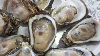 Ham Taze grup beyaz tabakta hizmet veren bir Shell dev açık istiridye yakın, taze pazarda balıkçılık tekne tazelik deniz ürünleri, gıda arka planlar