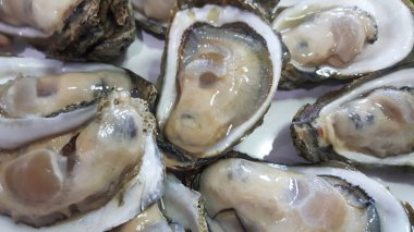 Ham Taze grup beyaz tabakta hizmet veren bir Shell dev açık istiridye yakın, taze pazarda balıkçılık tekne tazelik deniz ürünleri, gıda arka planlar