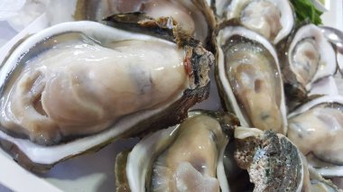 Ham Taze grup beyaz tabakta hizmet veren bir Shell dev açık istiridye yakın, taze pazarda balıkçılık tekne tazelik deniz ürünleri, gıda arka planlar