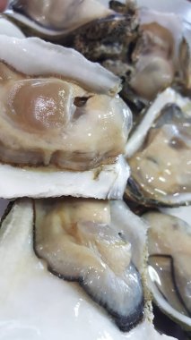 Ham Taze grup beyaz tabakta hizmet veren bir Shell dev açık istiridye yakın, taze pazarda balıkçılık tekne tazelik deniz ürünleri, gıda arka planlar