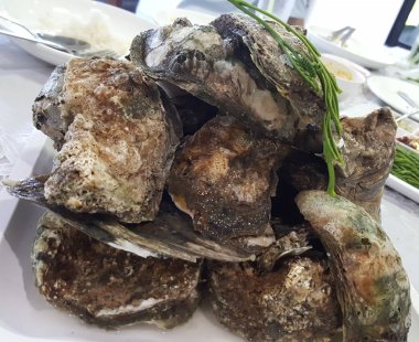 Taze Ham Taze Dev İstiridye Kabukları beyaz tabakta servis ediliyor taze balıkçı teknesinden taze deniz ürünleri, yiyecek kaynakları