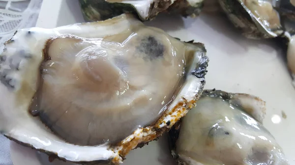 Groep Rauwe Verse Close Gigantische Open Oesters Een Schaal Die — Stockfoto