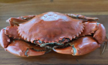 Kaynamış taş yengeç vücut geliştiricisi. Yengeci kestin, ev yapımı gurme restoranda çiğ kabuklu hayvan pişirdin, yemek stilisti menü geçmişin var.